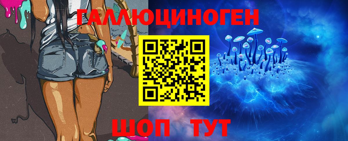 Кизляр  Псилоцибиновые грибы ЛСД  Вход с VPN 